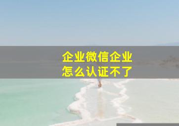 企业微信企业怎么认证不了