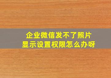 企业微信发不了照片显示设置权限怎么办呀