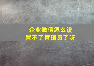 企业微信怎么设置不了管理员了呀