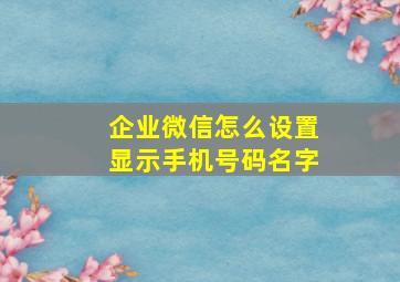 企业微信怎么设置显示手机号码名字