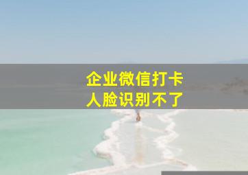 企业微信打卡人脸识别不了