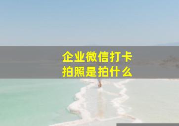 企业微信打卡拍照是拍什么