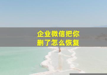 企业微信把你删了怎么恢复