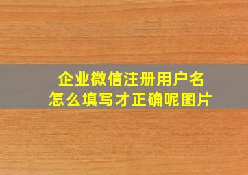 企业微信注册用户名怎么填写才正确呢图片