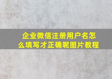 企业微信注册用户名怎么填写才正确呢图片教程