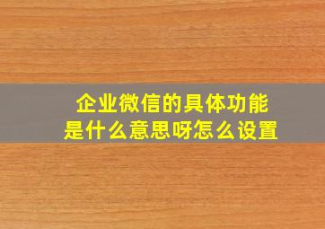 企业微信的具体功能是什么意思呀怎么设置