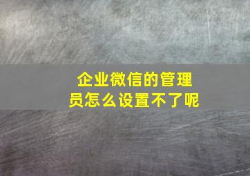 企业微信的管理员怎么设置不了呢