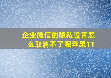 企业微信的隐私设置怎么取消不了呢苹果11