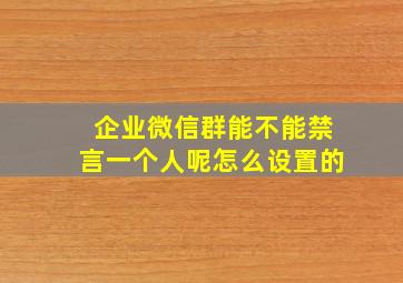 企业微信群能不能禁言一个人呢怎么设置的