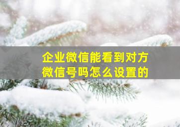 企业微信能看到对方微信号吗怎么设置的