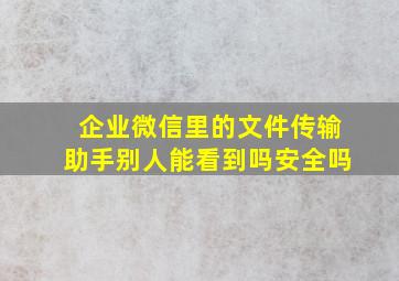 企业微信里的文件传输助手别人能看到吗安全吗