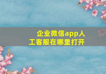 企业微信app人工客服在哪里打开