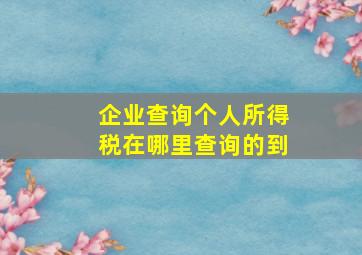 企业查询个人所得税在哪里查询的到