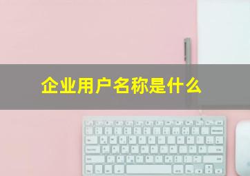 企业用户名称是什么