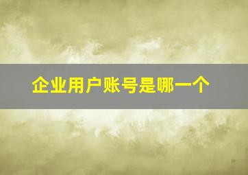 企业用户账号是哪一个