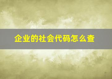 企业的社会代码怎么查