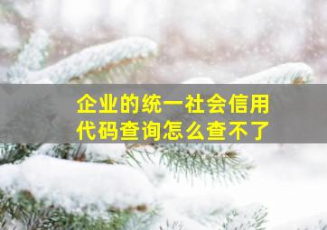 企业的统一社会信用代码查询怎么查不了