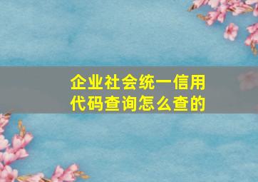 企业社会统一信用代码查询怎么查的