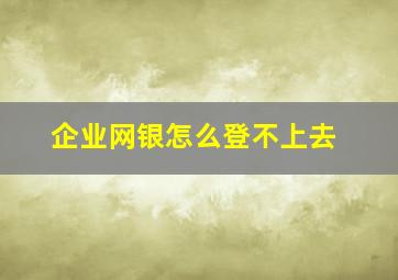 企业网银怎么登不上去