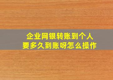 企业网银转账到个人要多久到账呀怎么操作