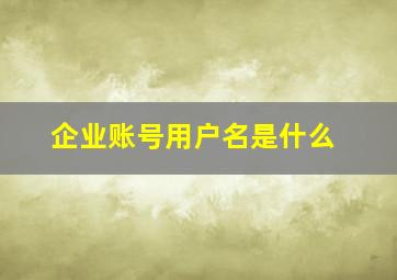 企业账号用户名是什么