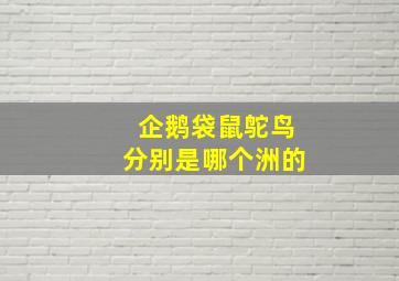 企鹅袋鼠鸵鸟分别是哪个洲的