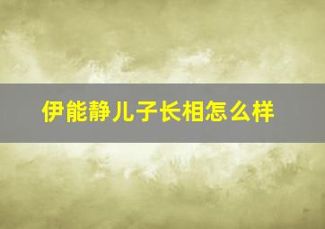 伊能静儿子长相怎么样