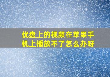 优盘上的视频在苹果手机上播放不了怎么办呀