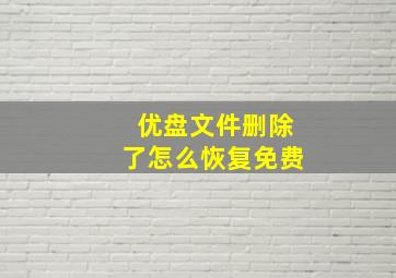 优盘文件删除了怎么恢复免费