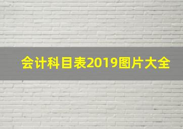 会计科目表2019图片大全