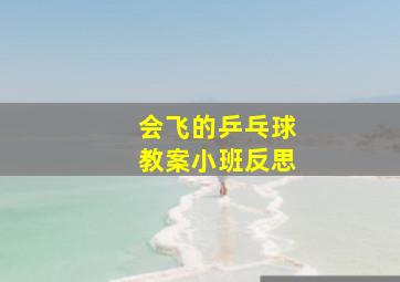 会飞的乒乓球教案小班反思