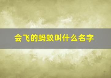 会飞的蚂蚁叫什么名字