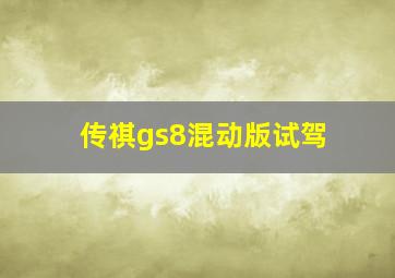 传祺gs8混动版试驾