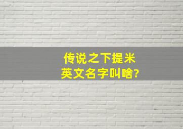 传说之下提米英文名字叫啥?