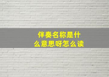 伴奏名称是什么意思呀怎么读