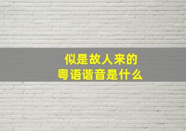 似是故人来的粤语谐音是什么