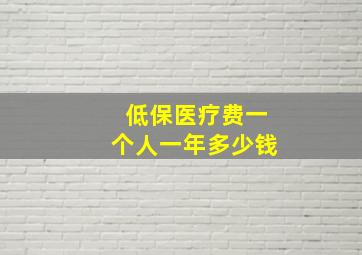 低保医疗费一个人一年多少钱