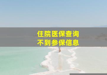 住院医保查询不到参保信息