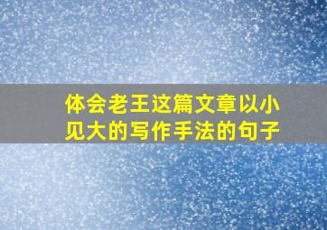 体会老王这篇文章以小见大的写作手法的句子