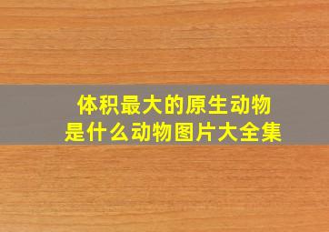 体积最大的原生动物是什么动物图片大全集