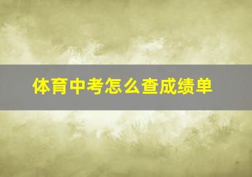 体育中考怎么查成绩单