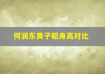 何润东黄子韬身高对比