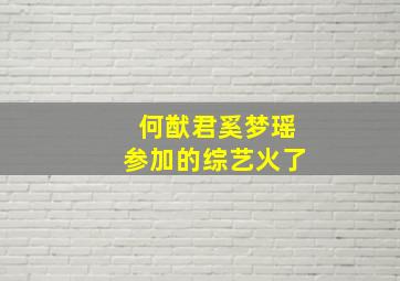 何猷君奚梦瑶参加的综艺火了