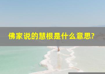 佛家说的慧根是什么意思?