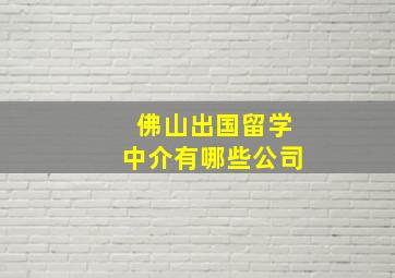 佛山出国留学中介有哪些公司