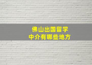 佛山出国留学中介有哪些地方