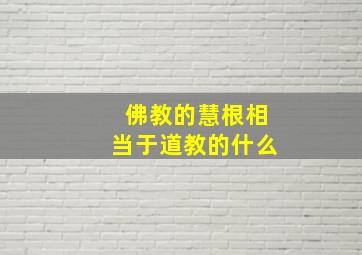 佛教的慧根相当于道教的什么