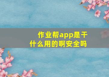 作业帮app是干什么用的啊安全吗