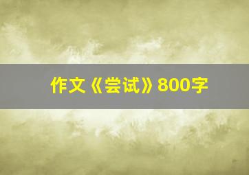 作文《尝试》800字