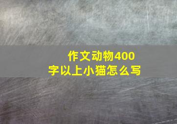 作文动物400字以上小猫怎么写